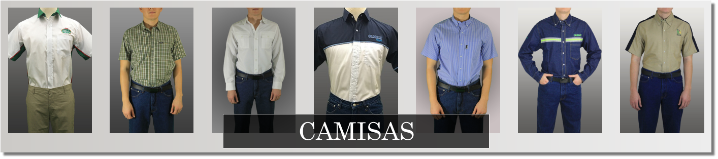 Camisas Ertex Uniformes
